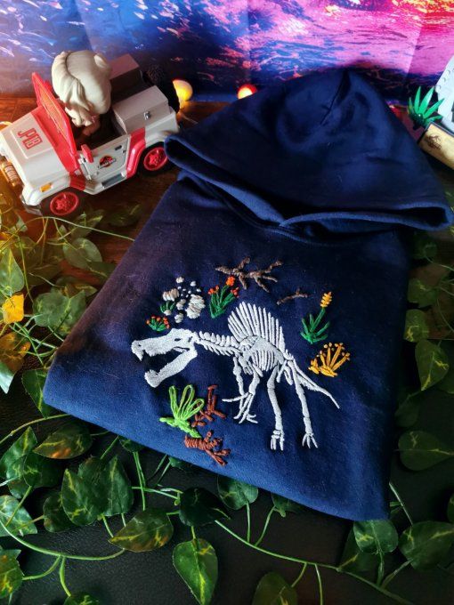 "Passion Dino" - Sweat Interactif pour enfant